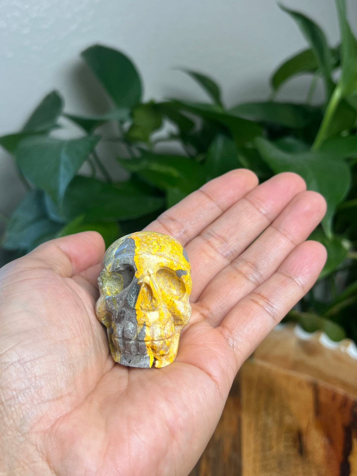 Bumblebee Jasper Mini Skull: C