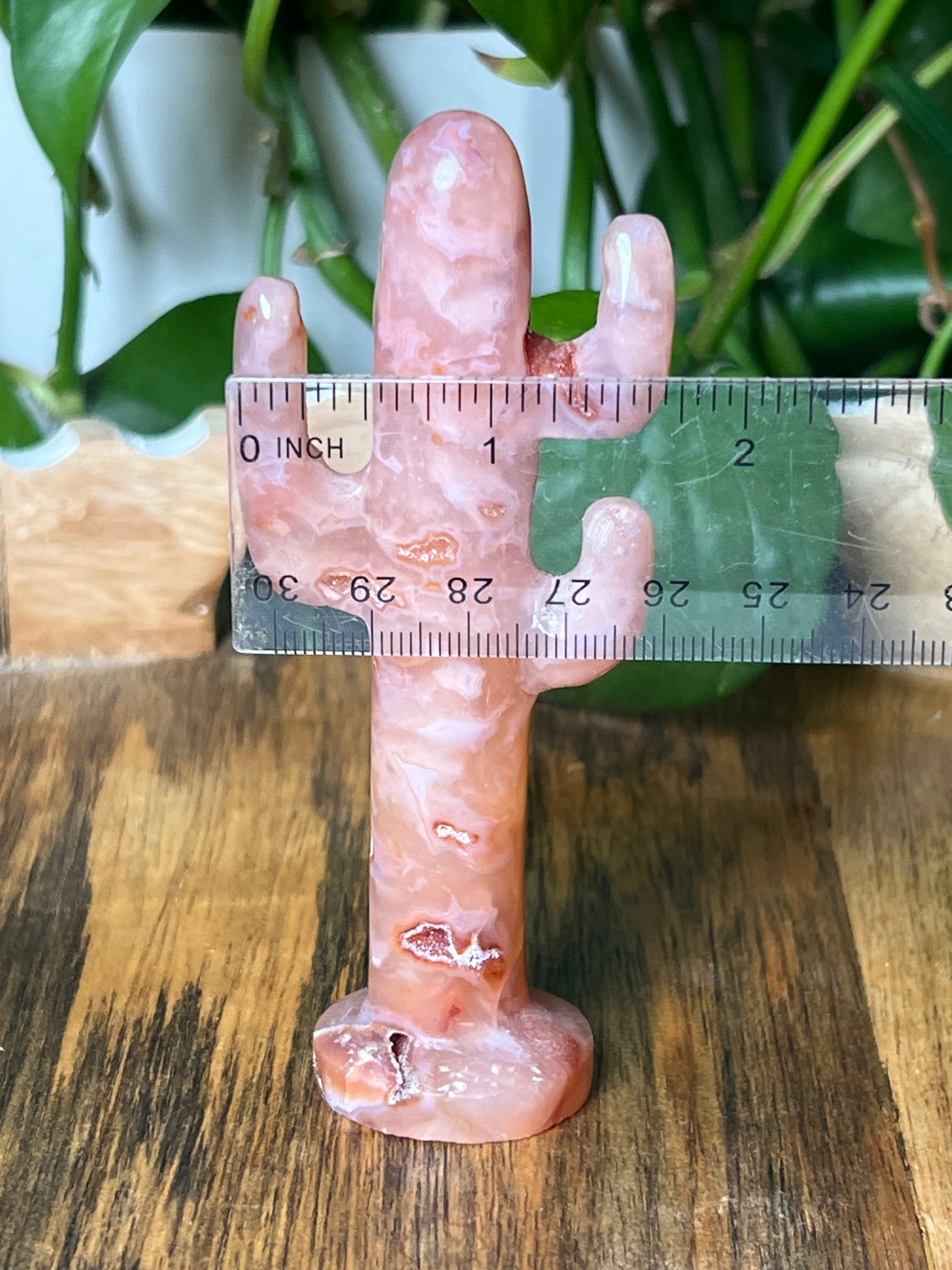 Pink Carnelian Cactus