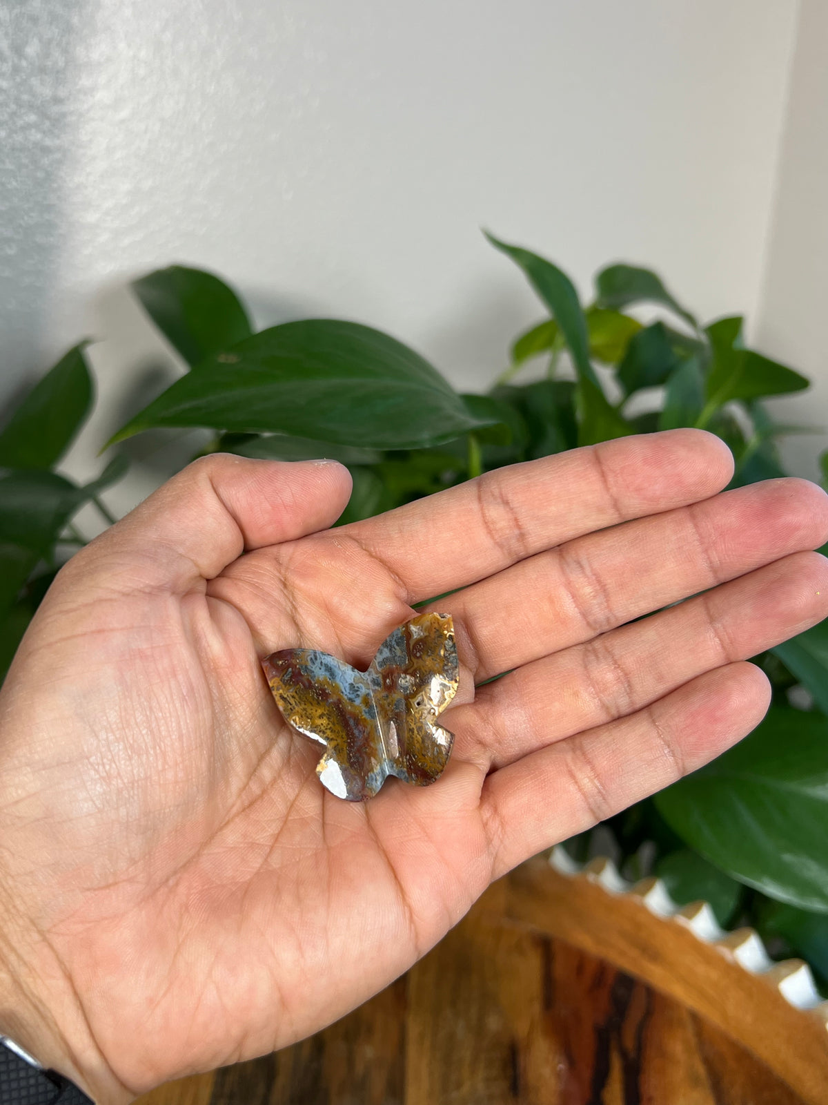 Marcasite 3D Mini Butterflies