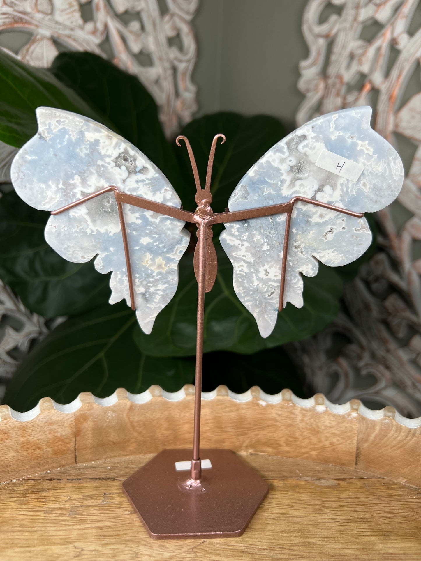 Blue Plume Agate Wings