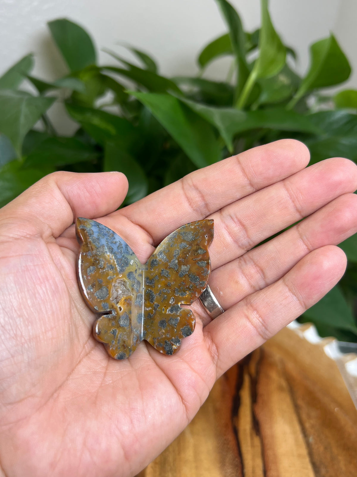Marcasite 3D Butterfly: ME