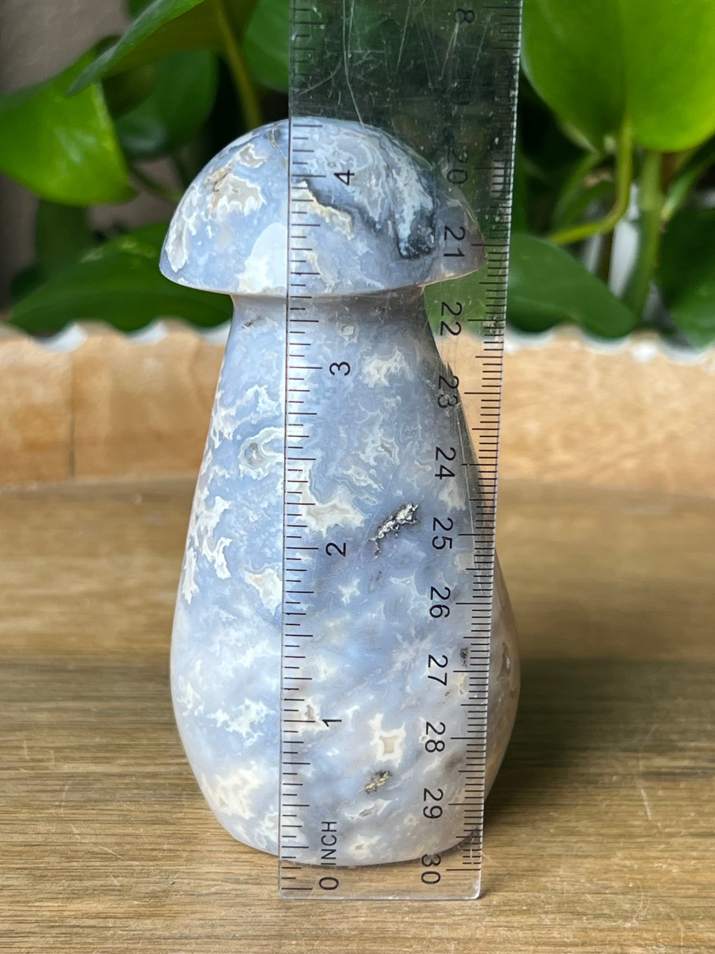 Blue Plume Agate Mushroom: PL