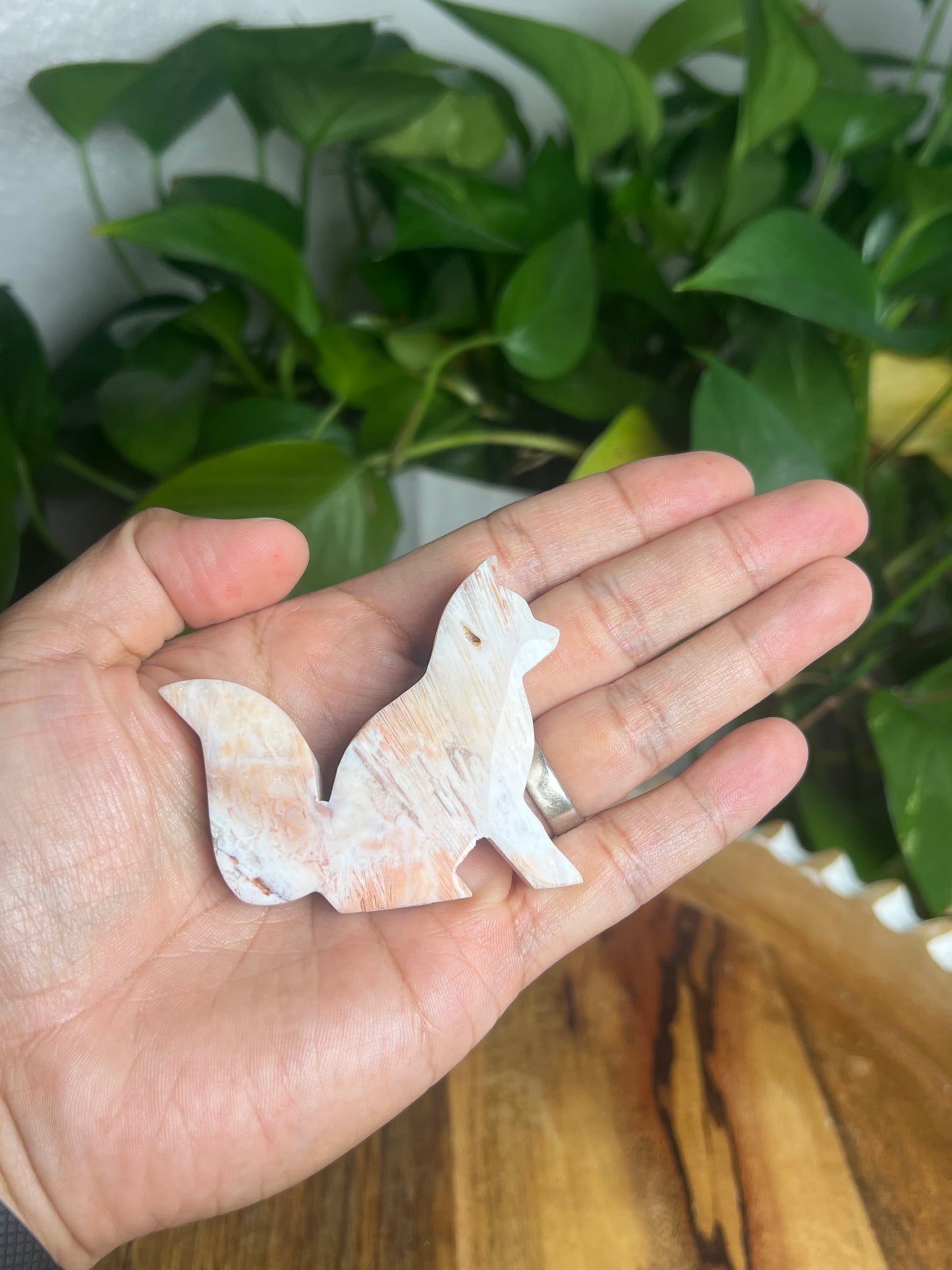 Tube Agate Fox BB