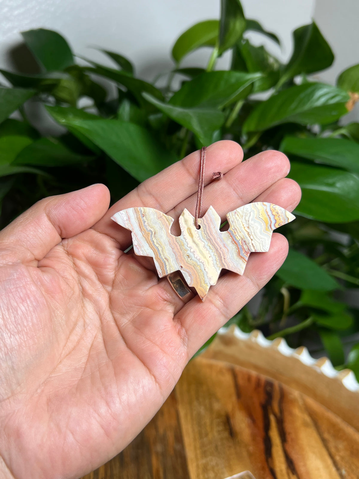 Crazy Lace Agate Ornament Bat: T
