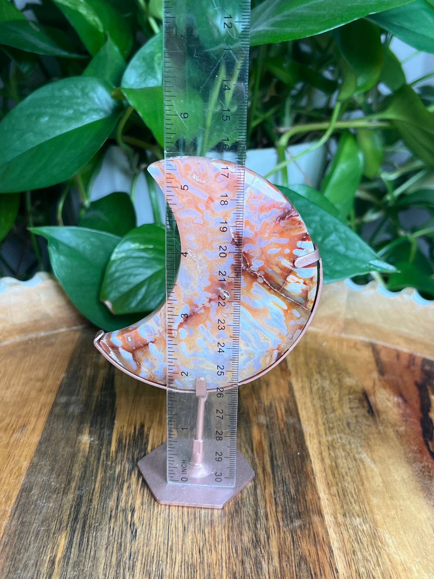 Carnelian Moon: Bi