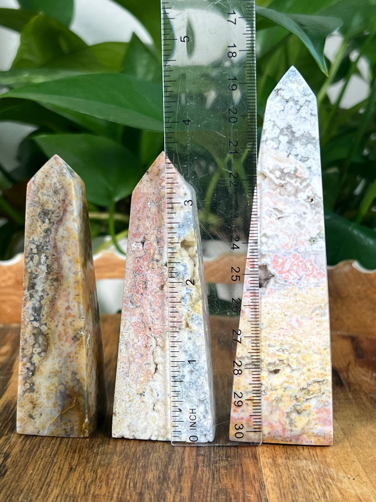 Sea Jasper Towers