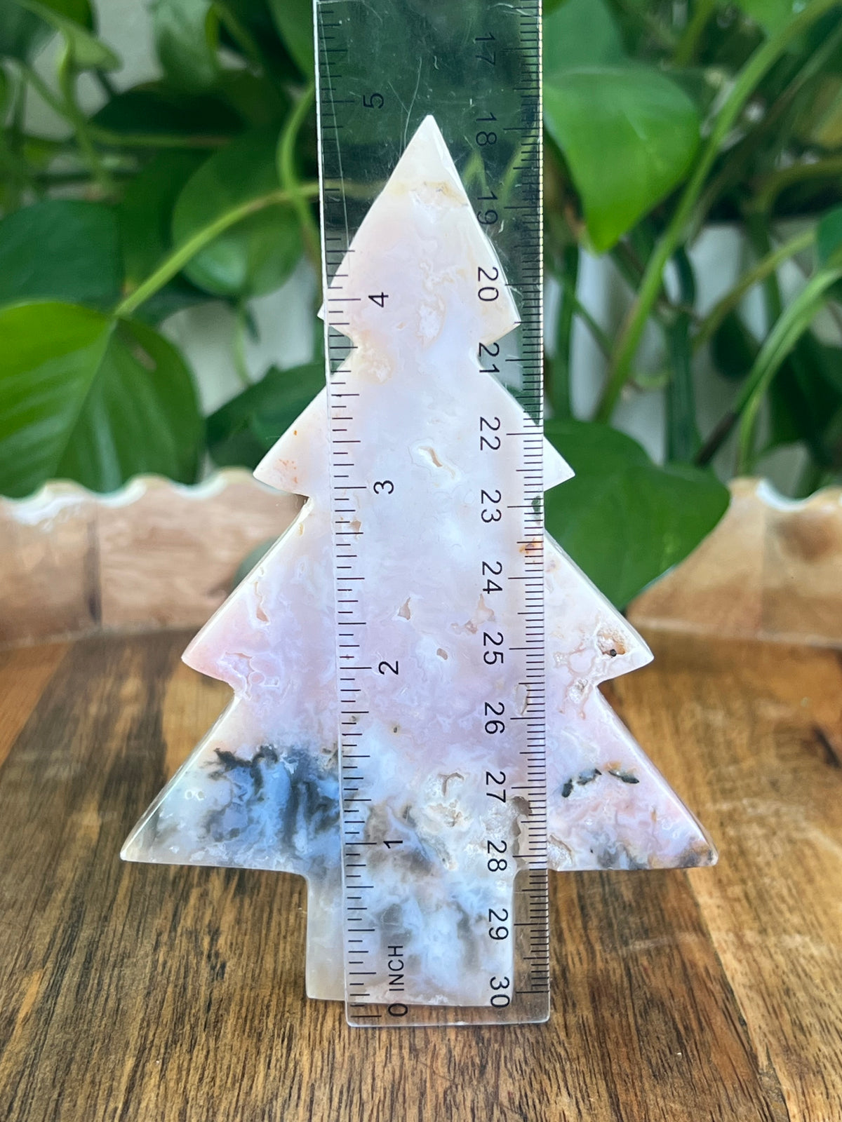 Rainbow Plume Agate Tree: DA