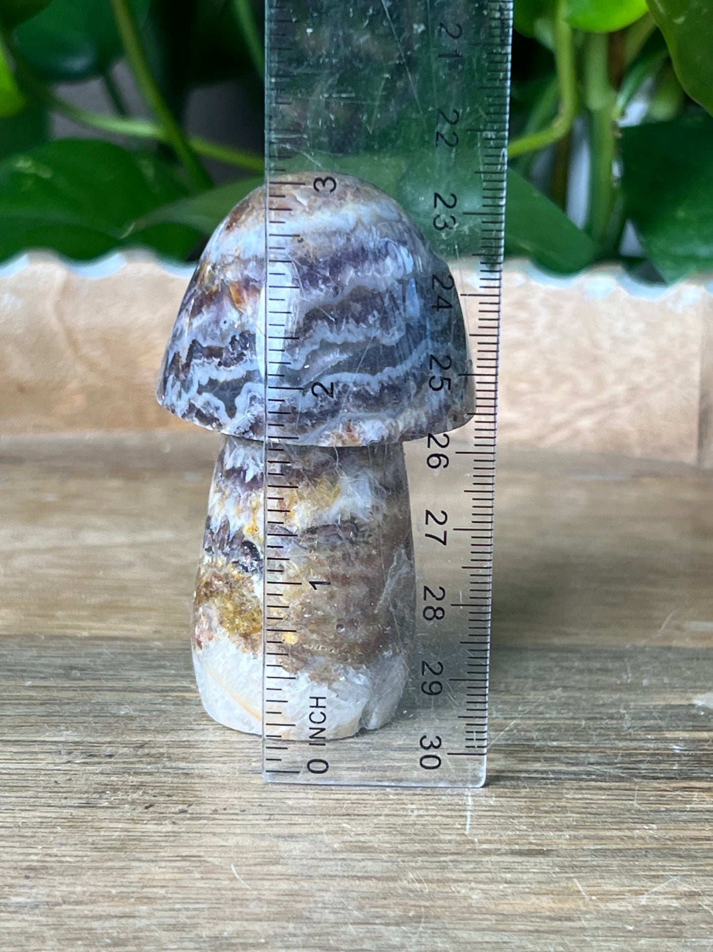 Indonesian Amethyst Mushroom: TD