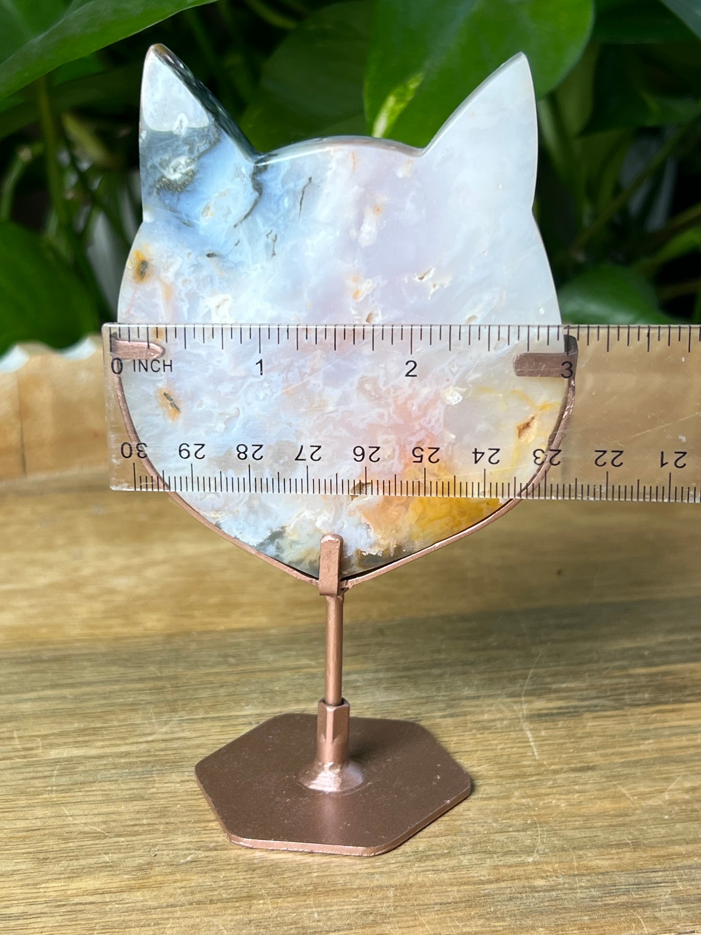 Rainbow Plume Agate Cat Head