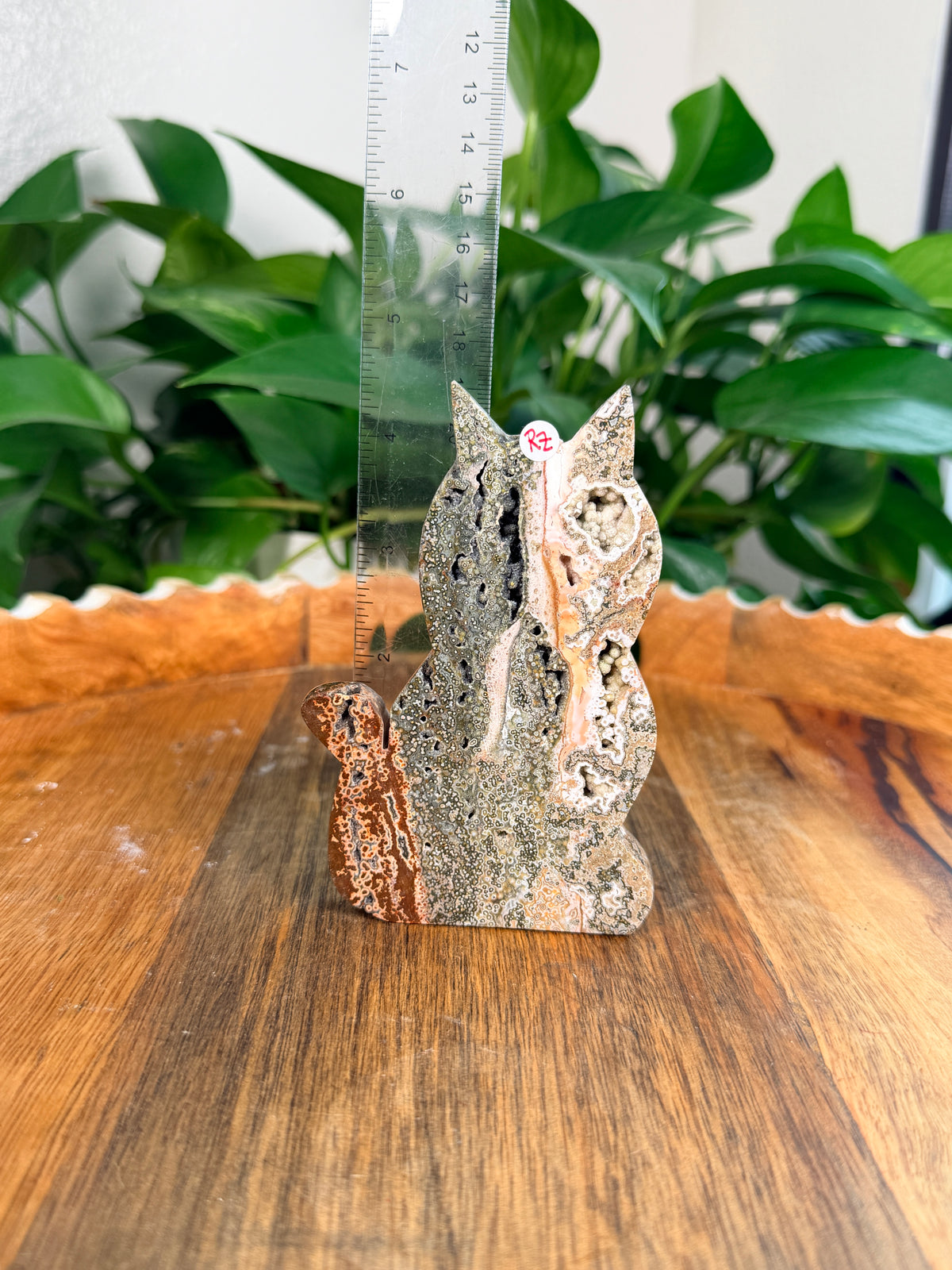Sea Jasper Cats- Large