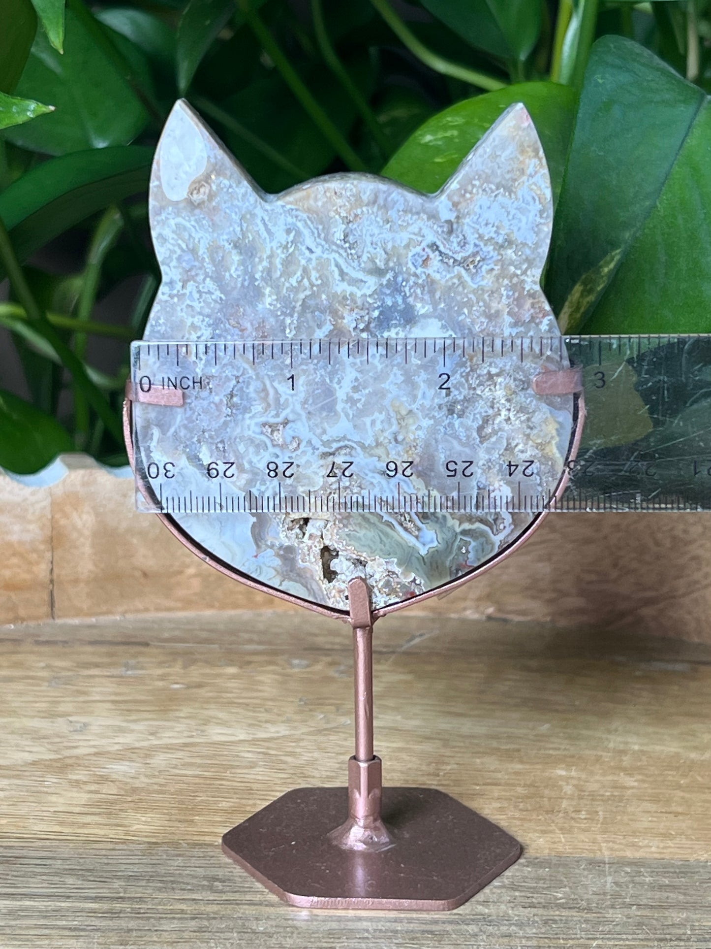 Sumatra Plume Agate Cat Head