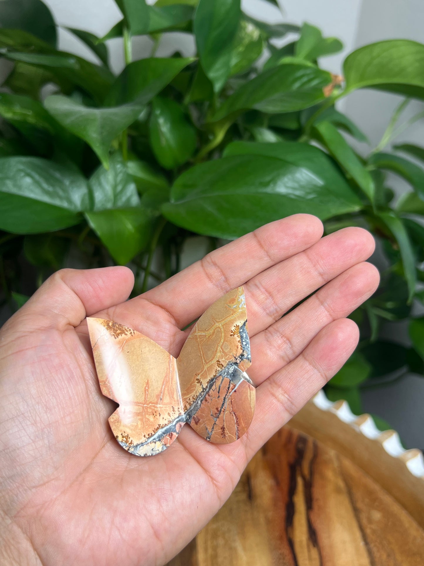 Maligano 3D Butterfly: AY