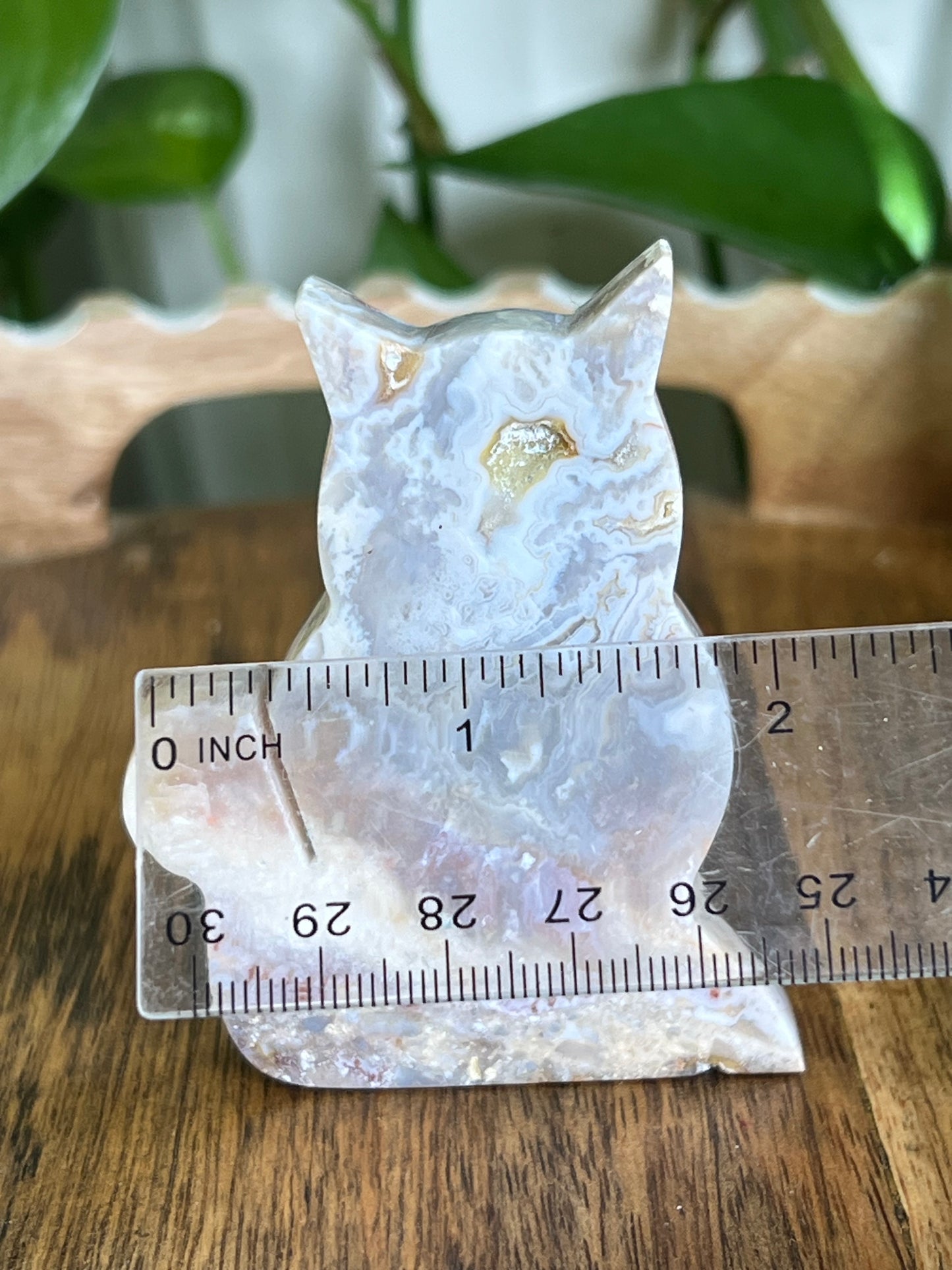 Sumatra Agate Cat EE