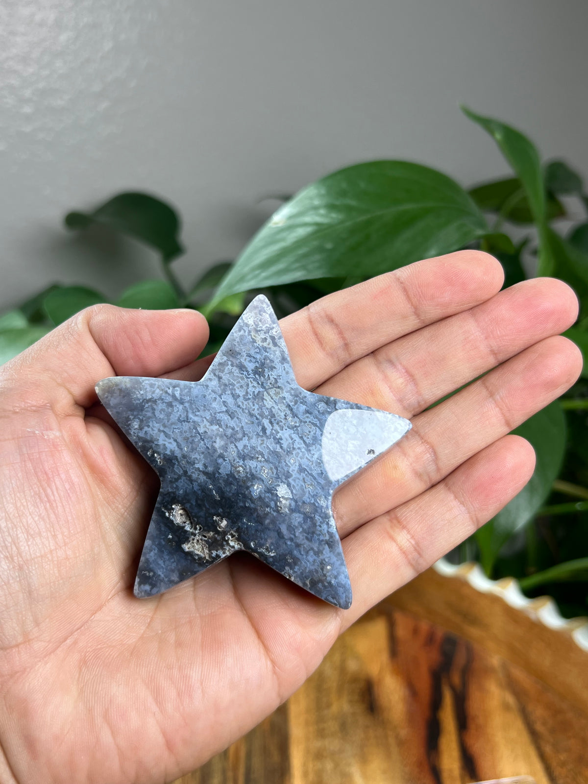 Blue Plume Agate Star: BC