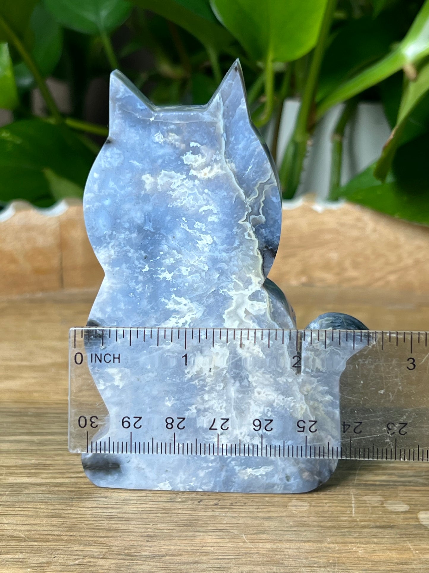 Blue Plume Agate Cat
