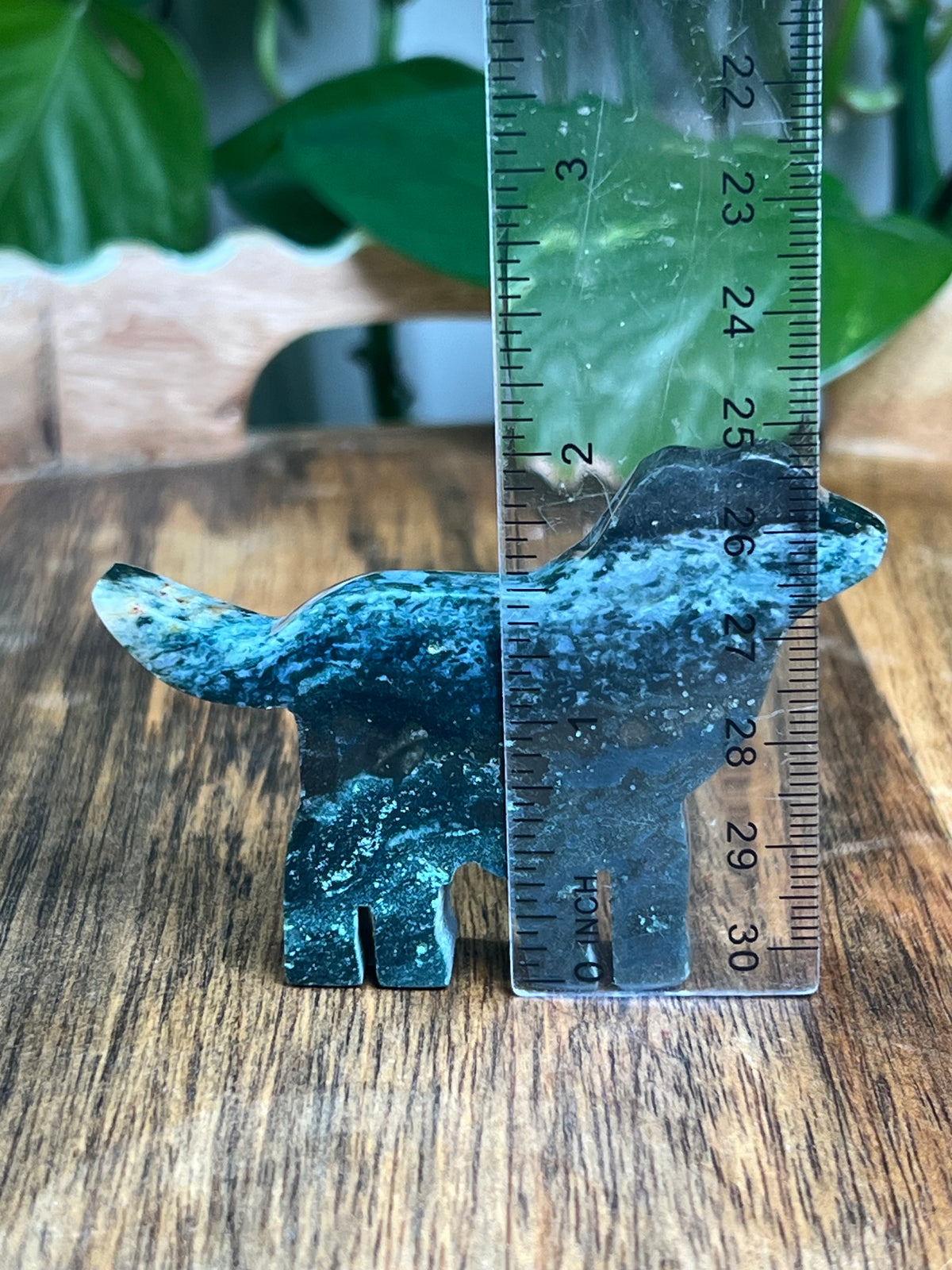 Blue Green Jasper Dog: BC