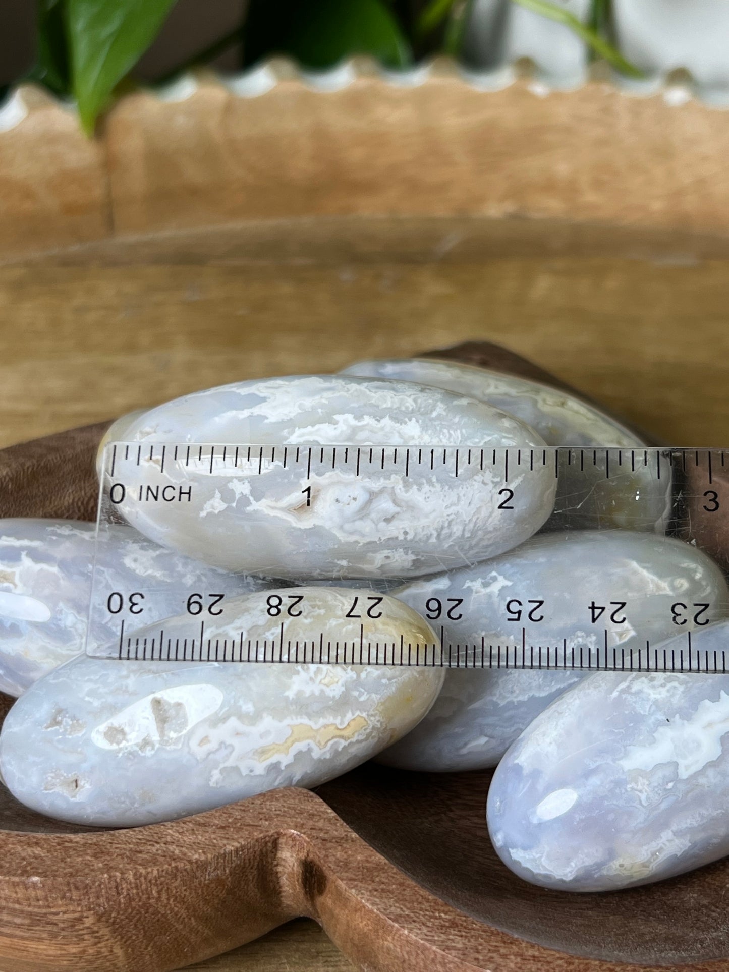 Winter Plume Agate Shivas