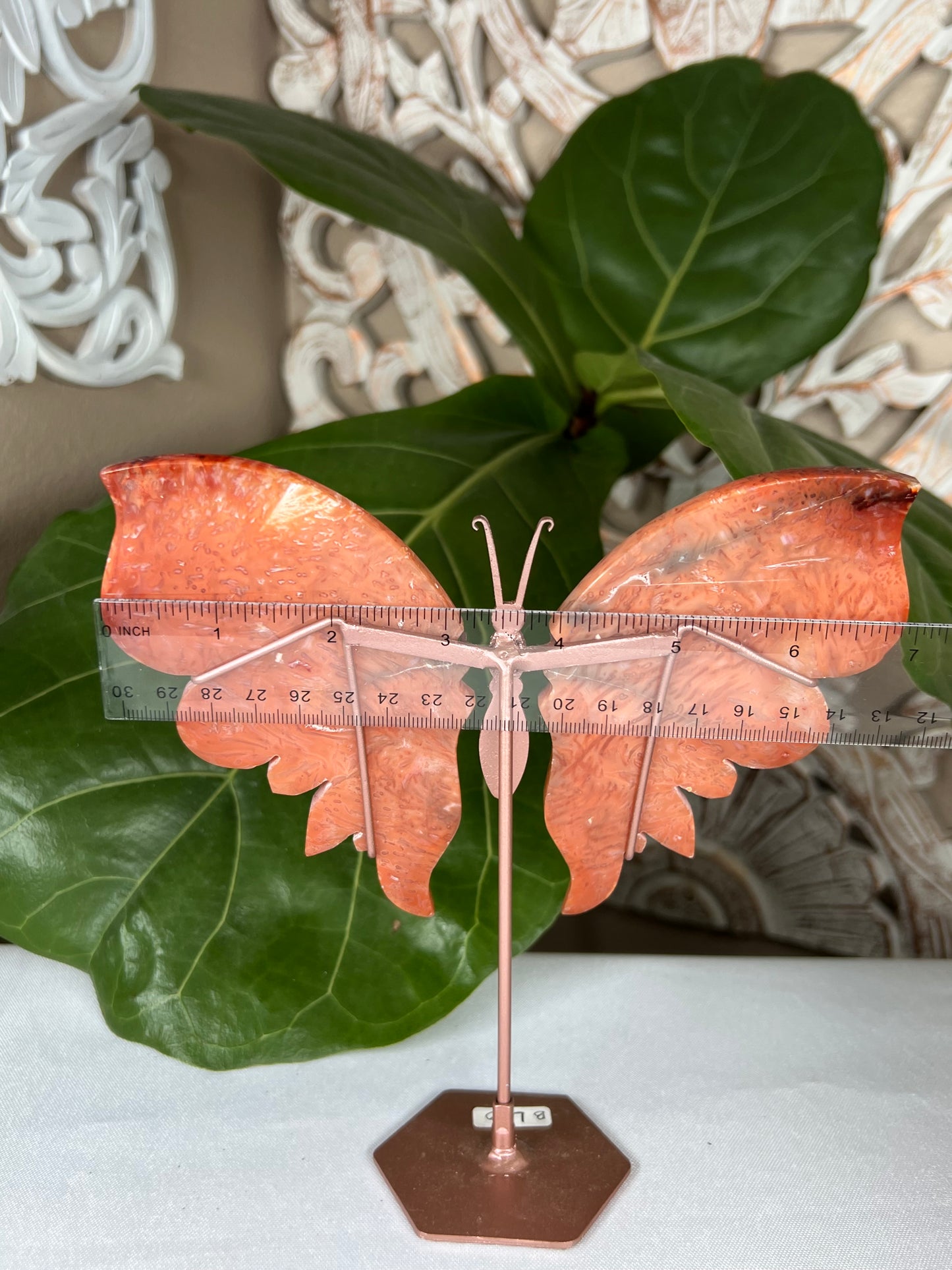 Carnelian Wings