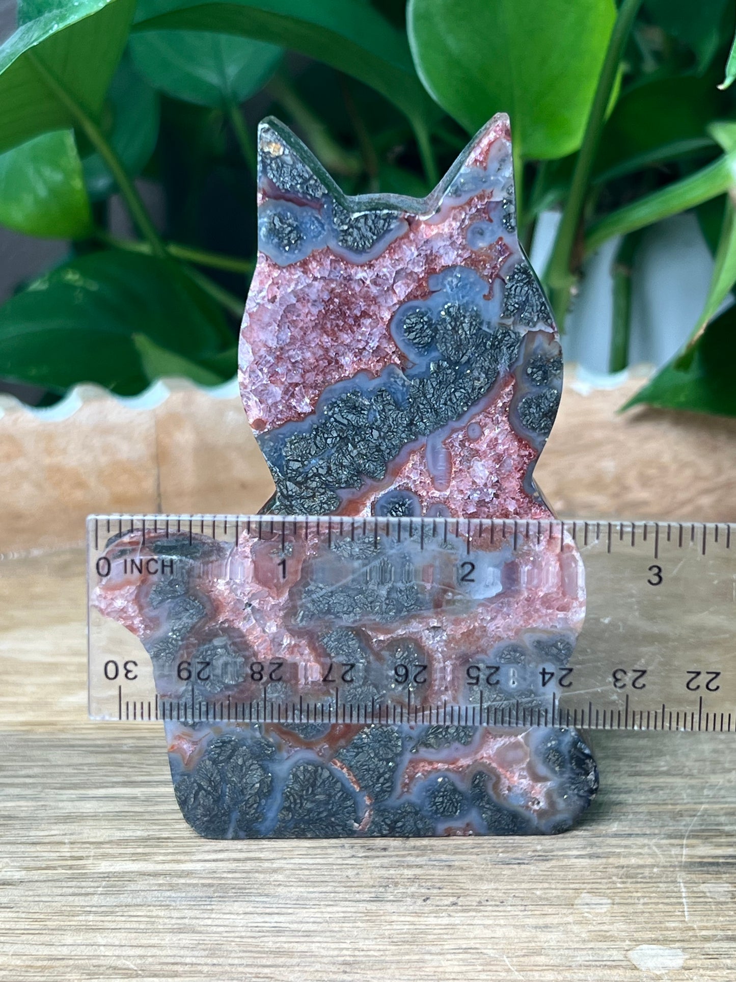 Marcasite Cat