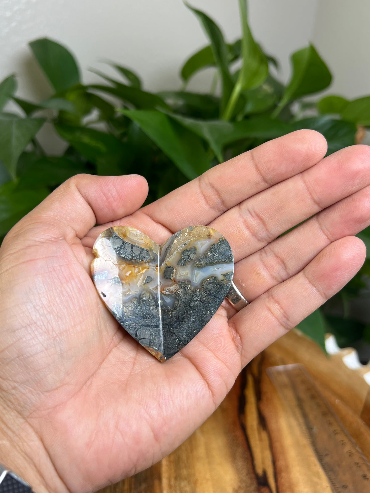 Marcasite 3D Butterfly Heart: TF