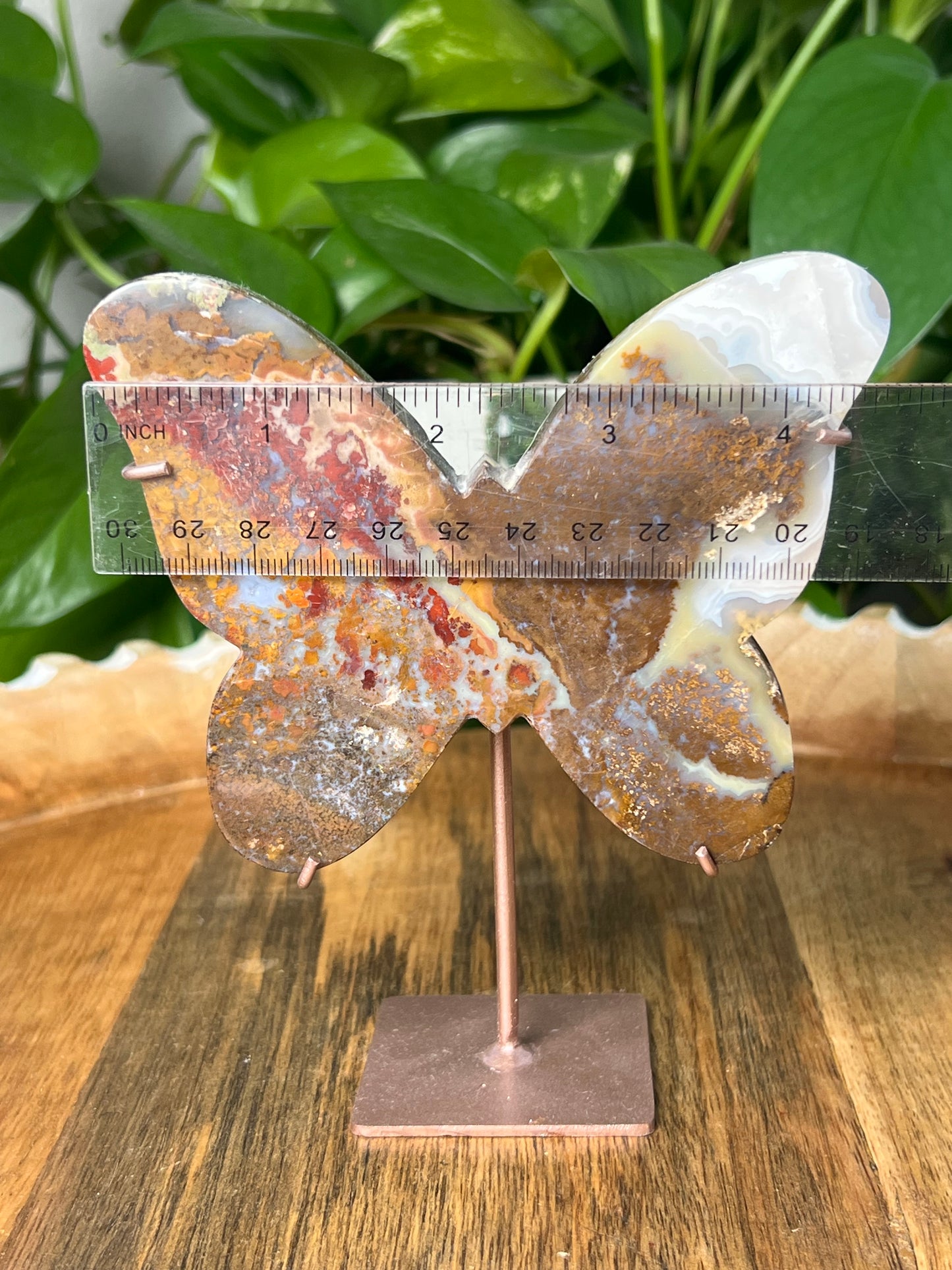 Scenic Moss Agate Butterfly