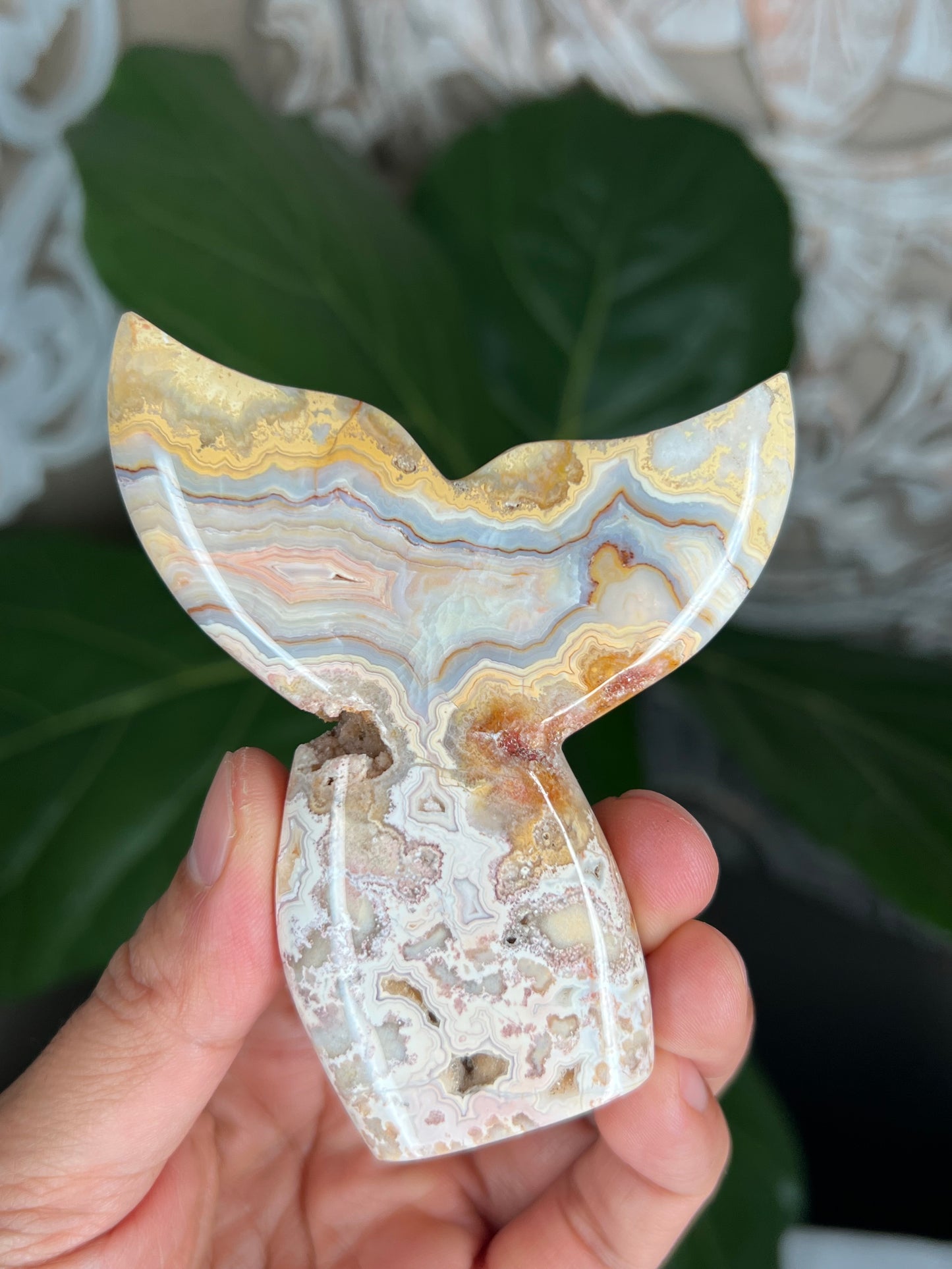 Crazy Lace Agate Tail