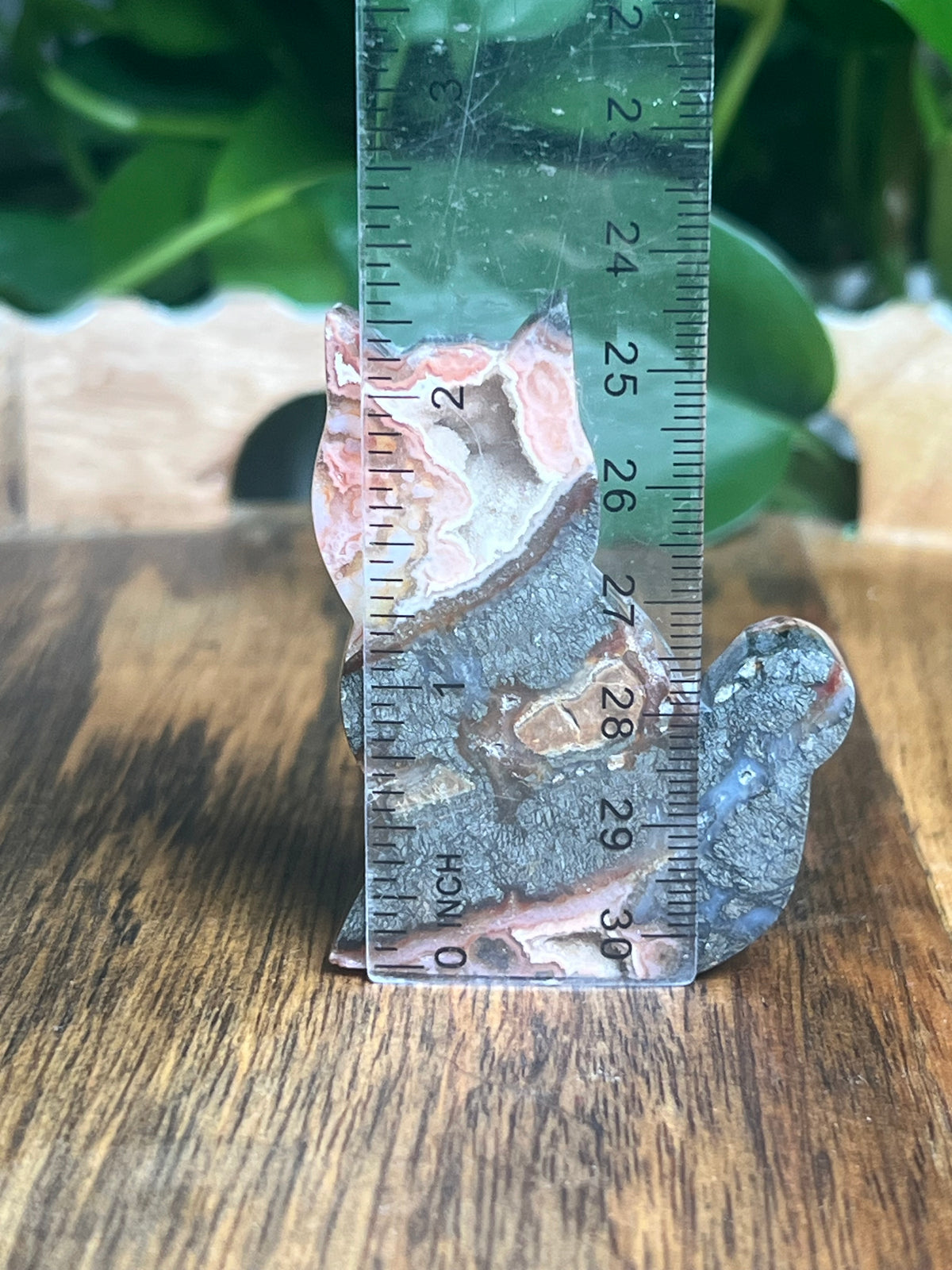 Marcasite Mini Cat: Xi