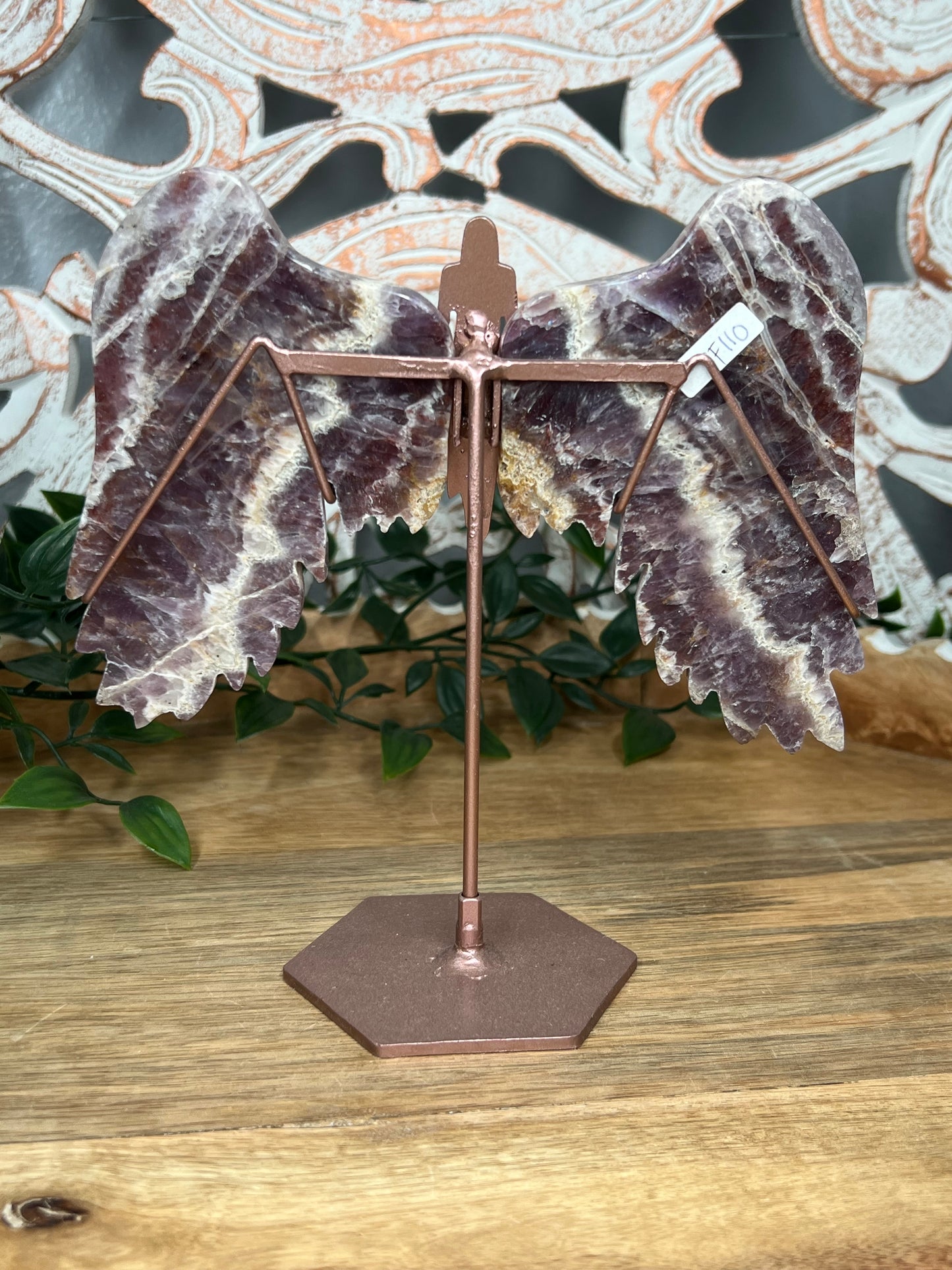 Indonesian Amethyst Wings
