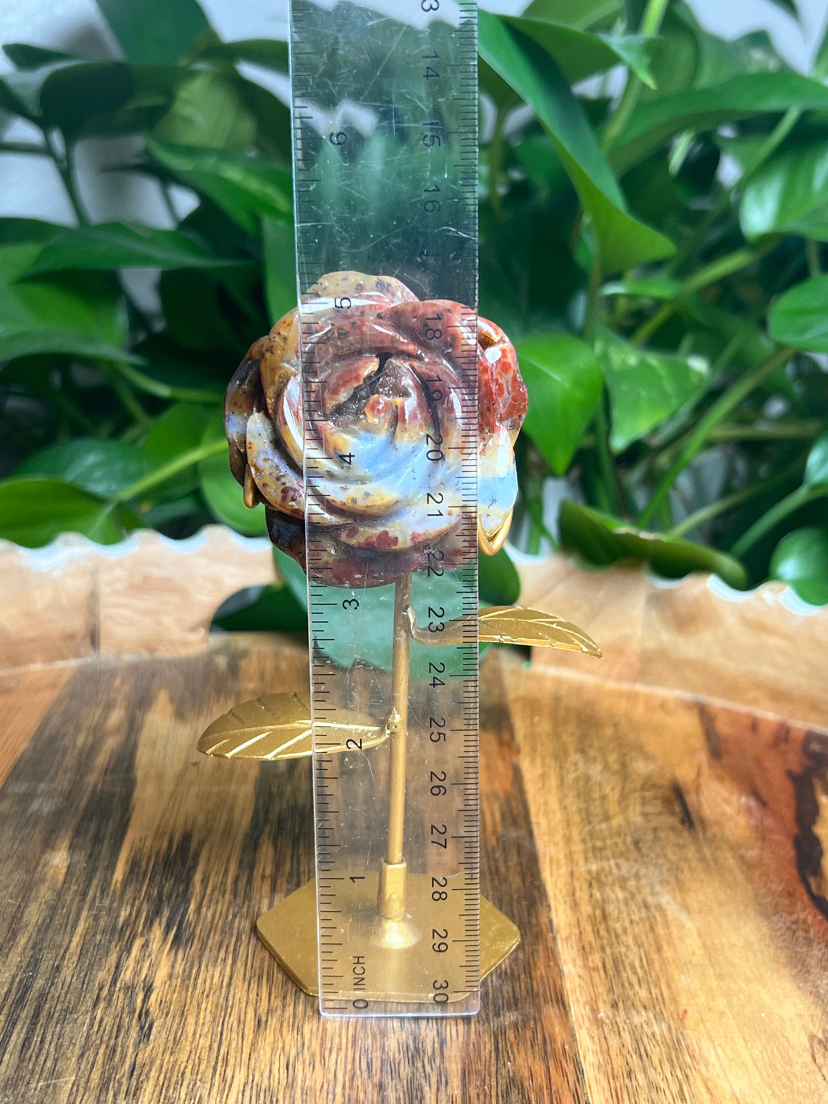Marcasite Rose: PZ