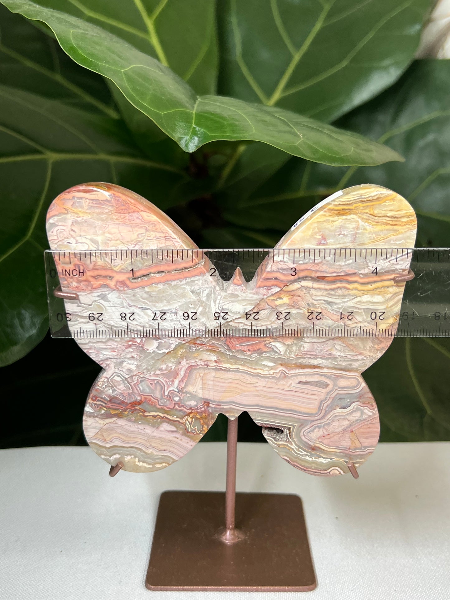 Crazy Lace Agate Butterfly