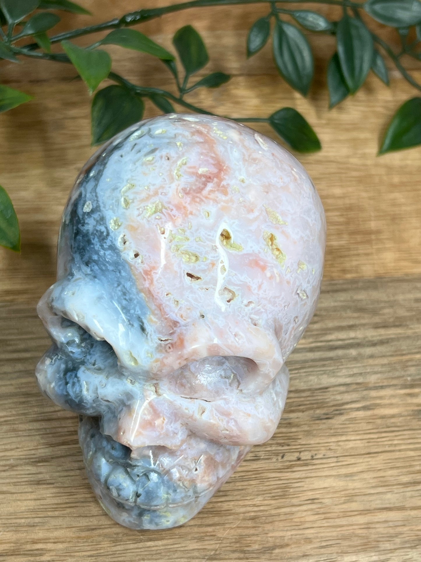 Rainbow Plume Agate Skull