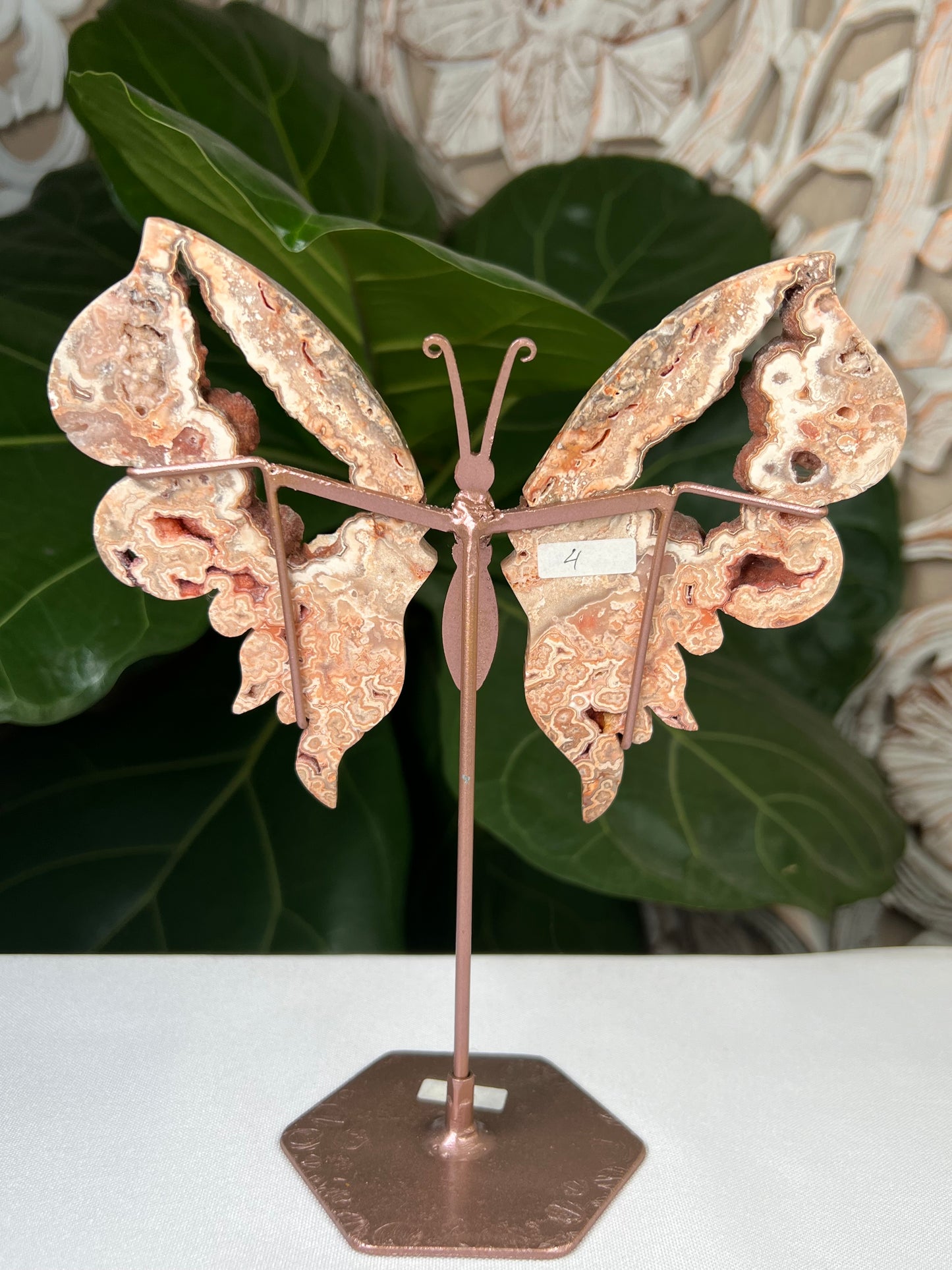 Crazy Lace Agate Wings