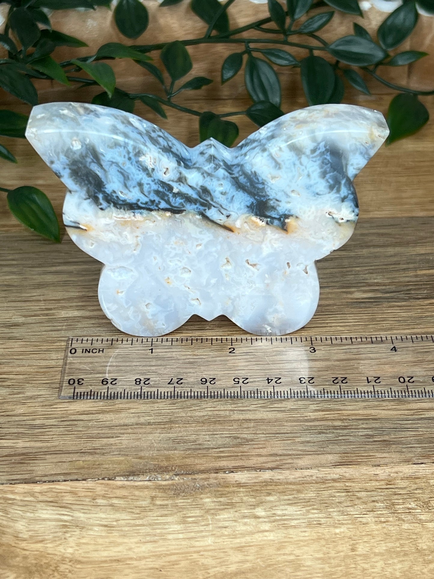 Rainbow Plume Agate Butterfly