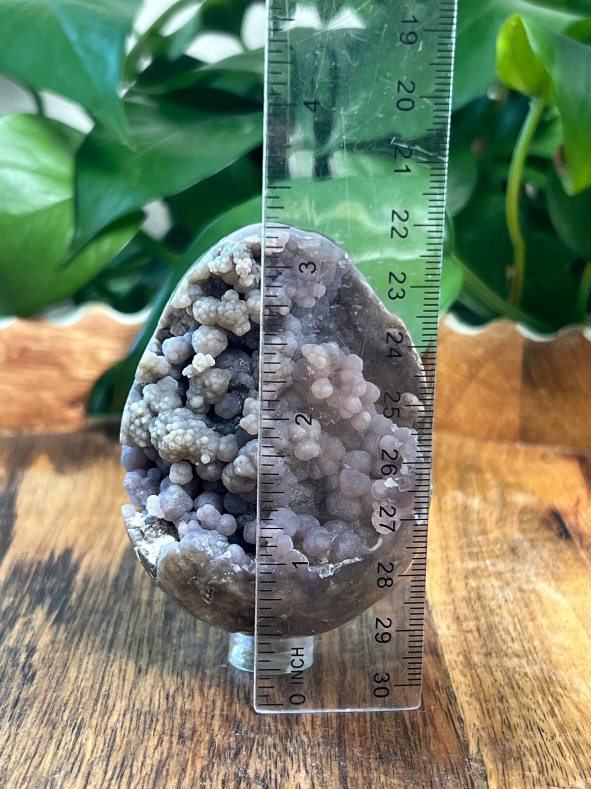 Grape Agate Egg: NA