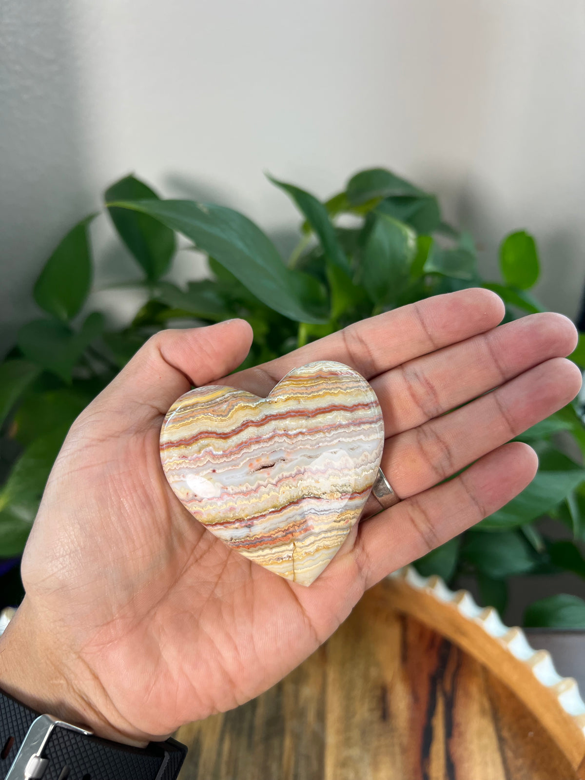 Crazy Lace Agate Small Puffy Moons