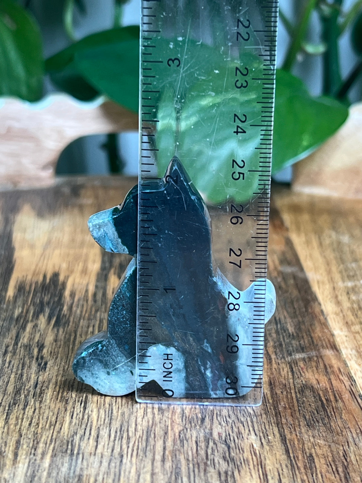 Blue Green Jasper Dog: AA