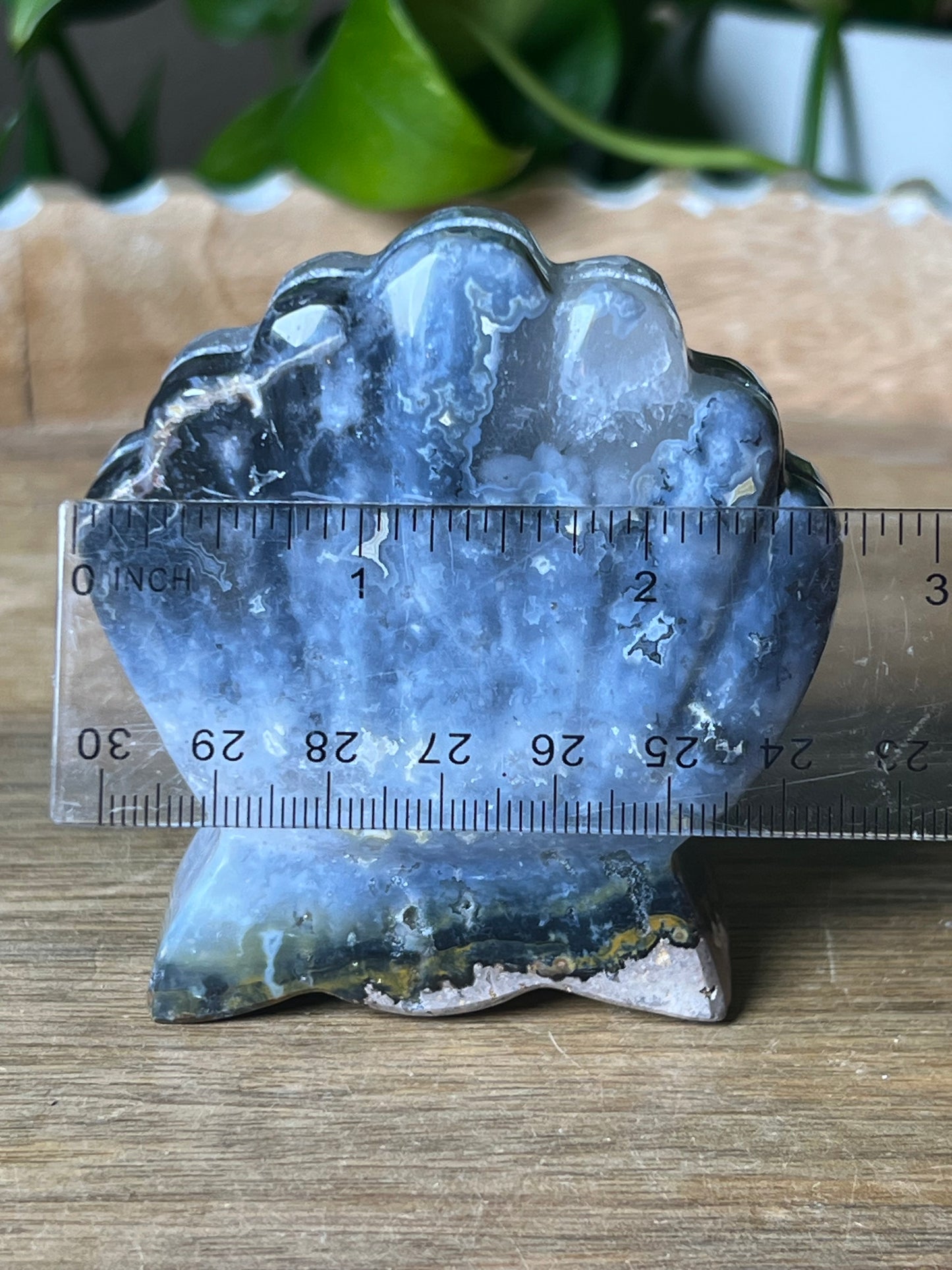 Blue Plume Agate Shell