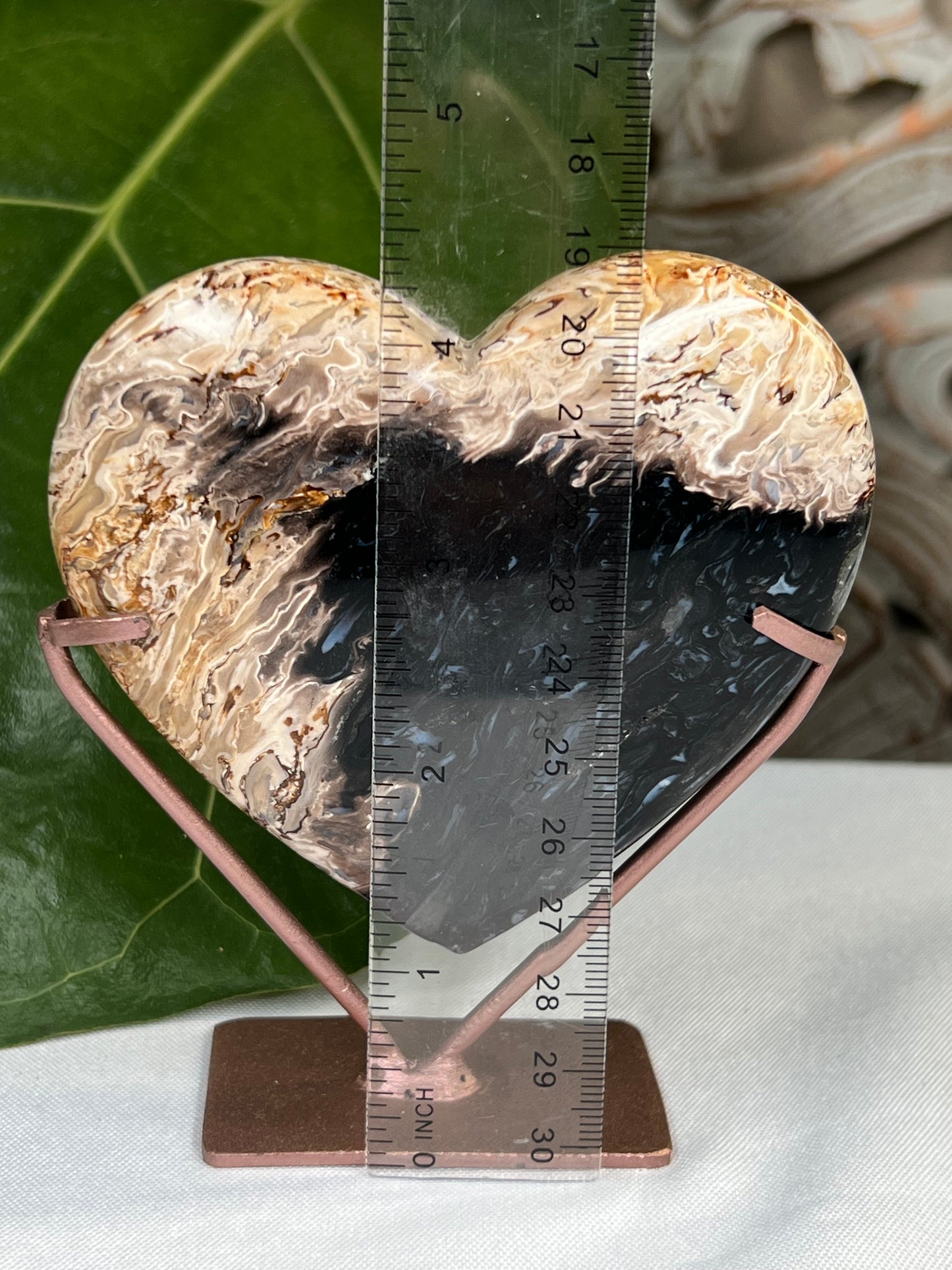 Palm Root Heart