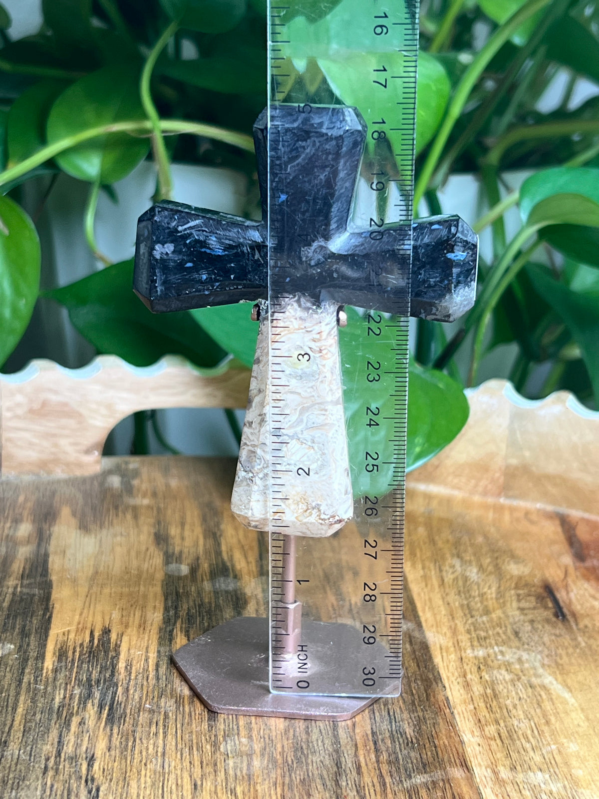 Palm Root Cross: A