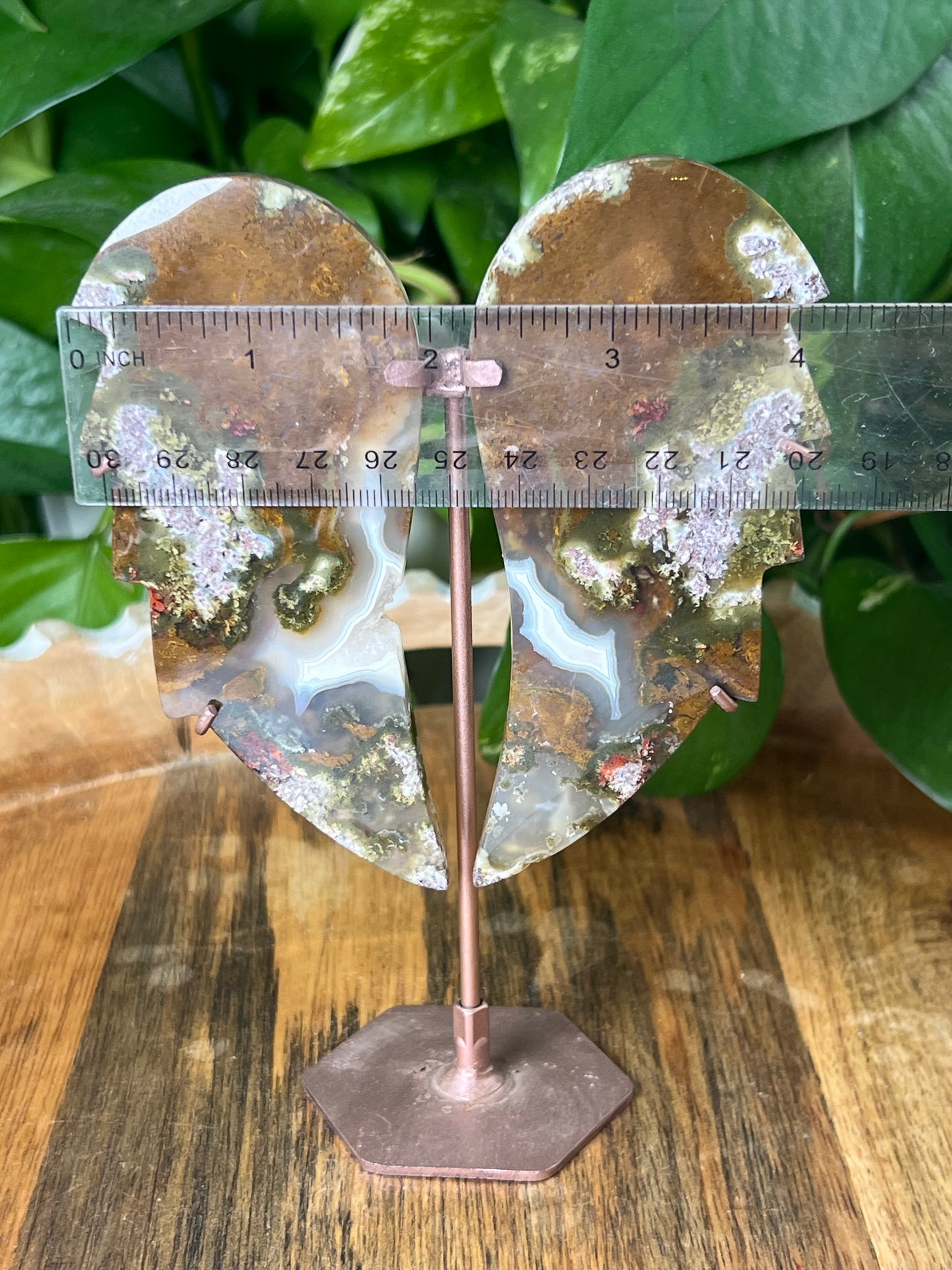 Scenic Moss Agate Wings