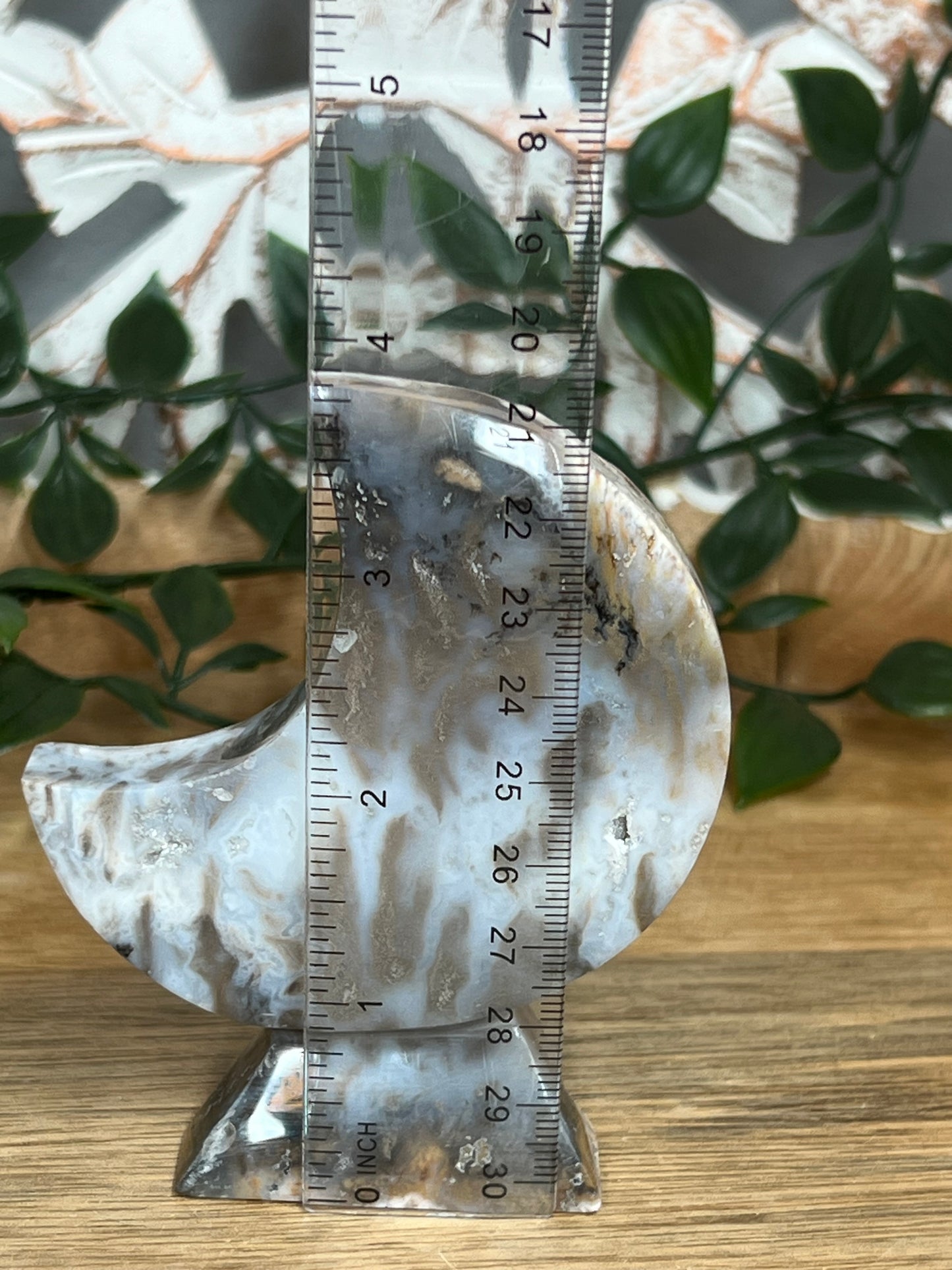 Dendritic Tiger Agate Moon