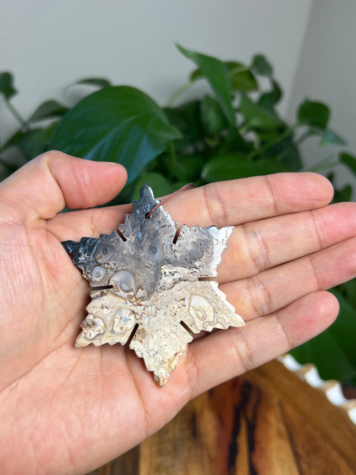 Palm Root Snowflake Ornaments