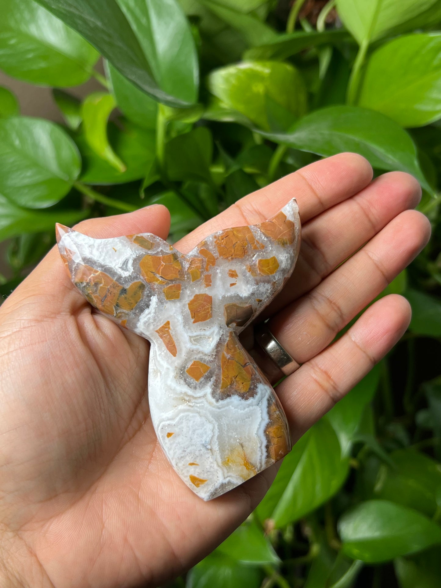 Brecciated Jasper Tail