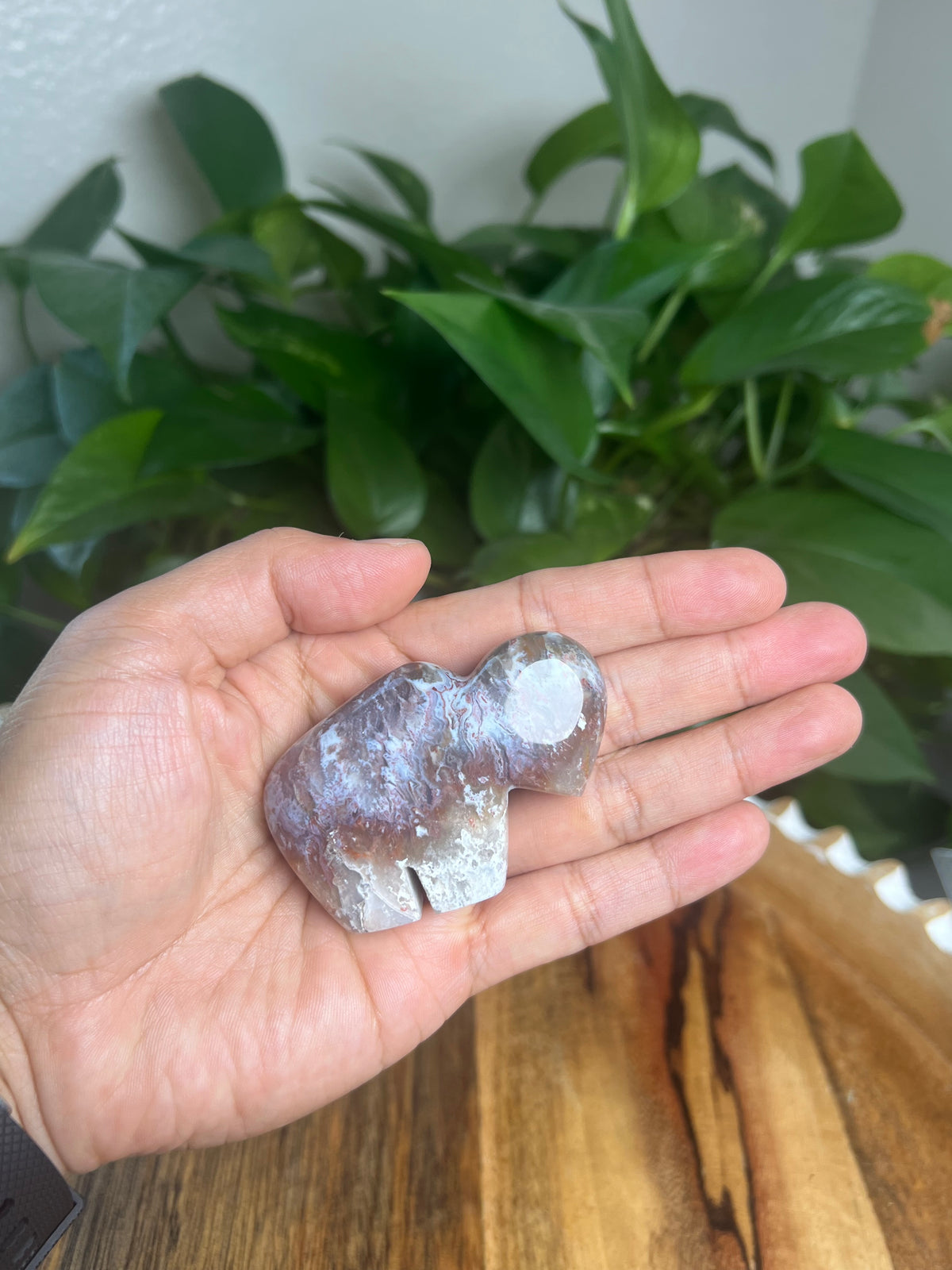Sumatra Plume Agate Mini Buffalo: DD