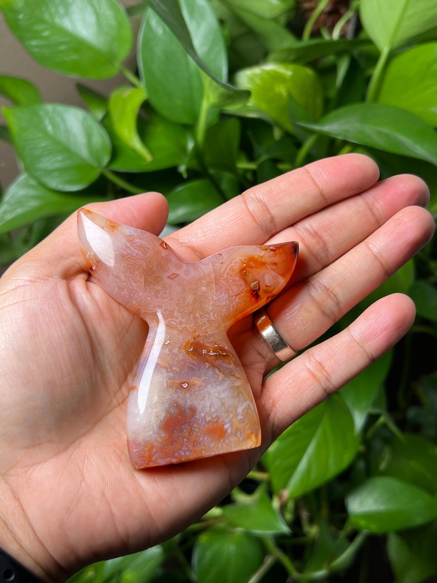 Red Carnelian Tail