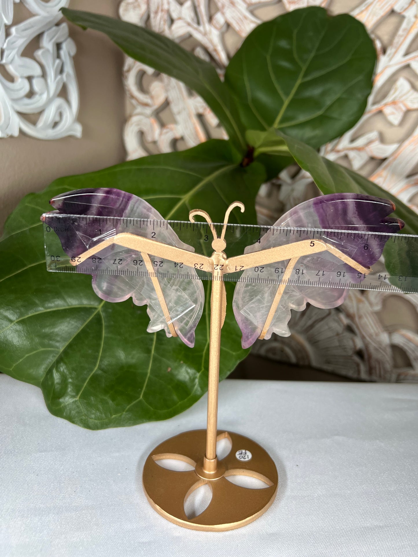 Fluorite Wings