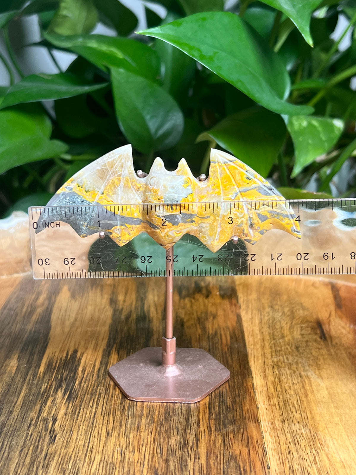 Bumblebee Jasper Bat: BB