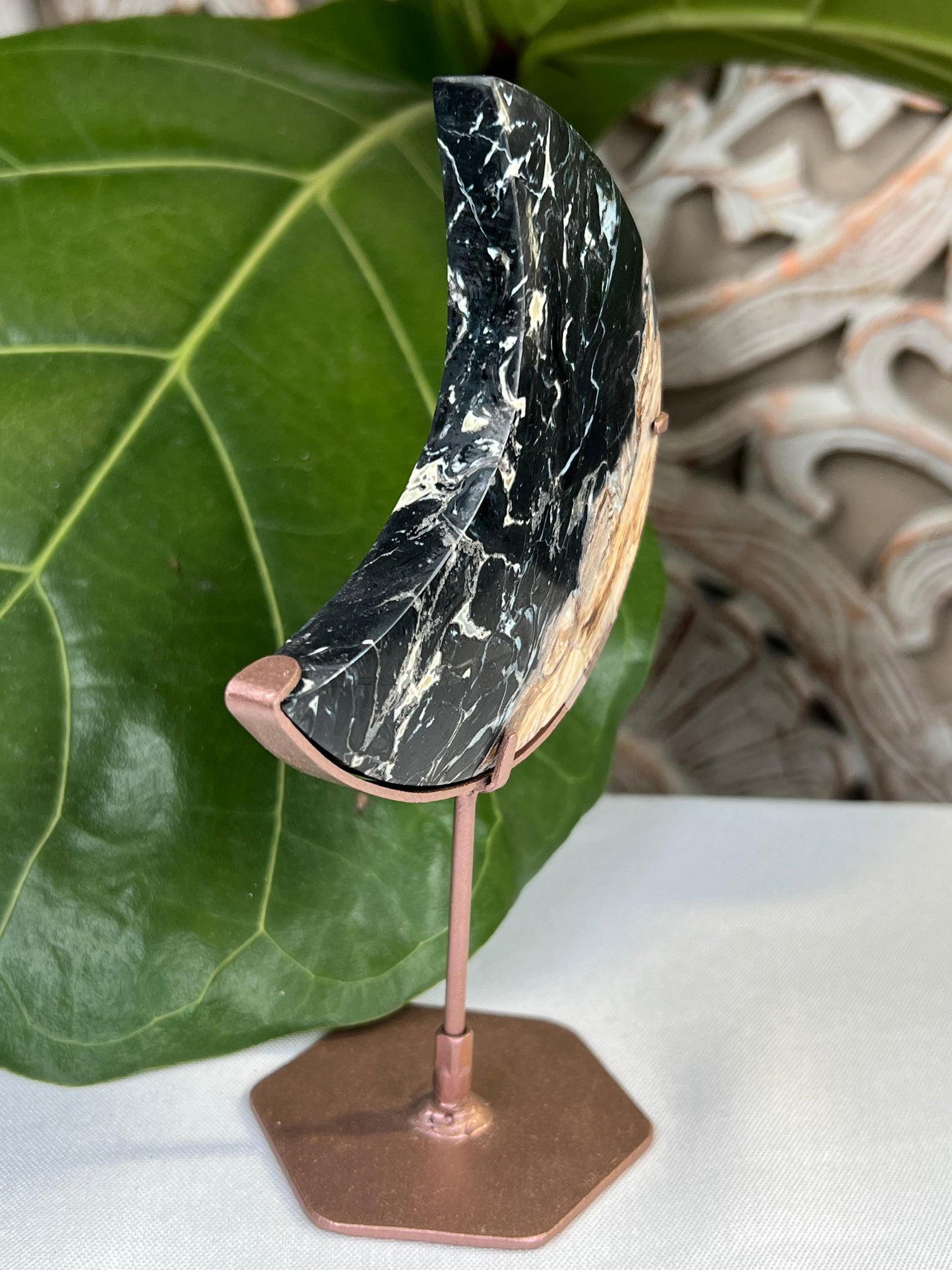 Palm Root Moon