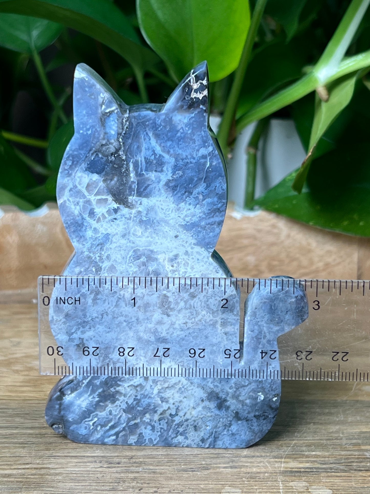 Blue Plume Agate Cat