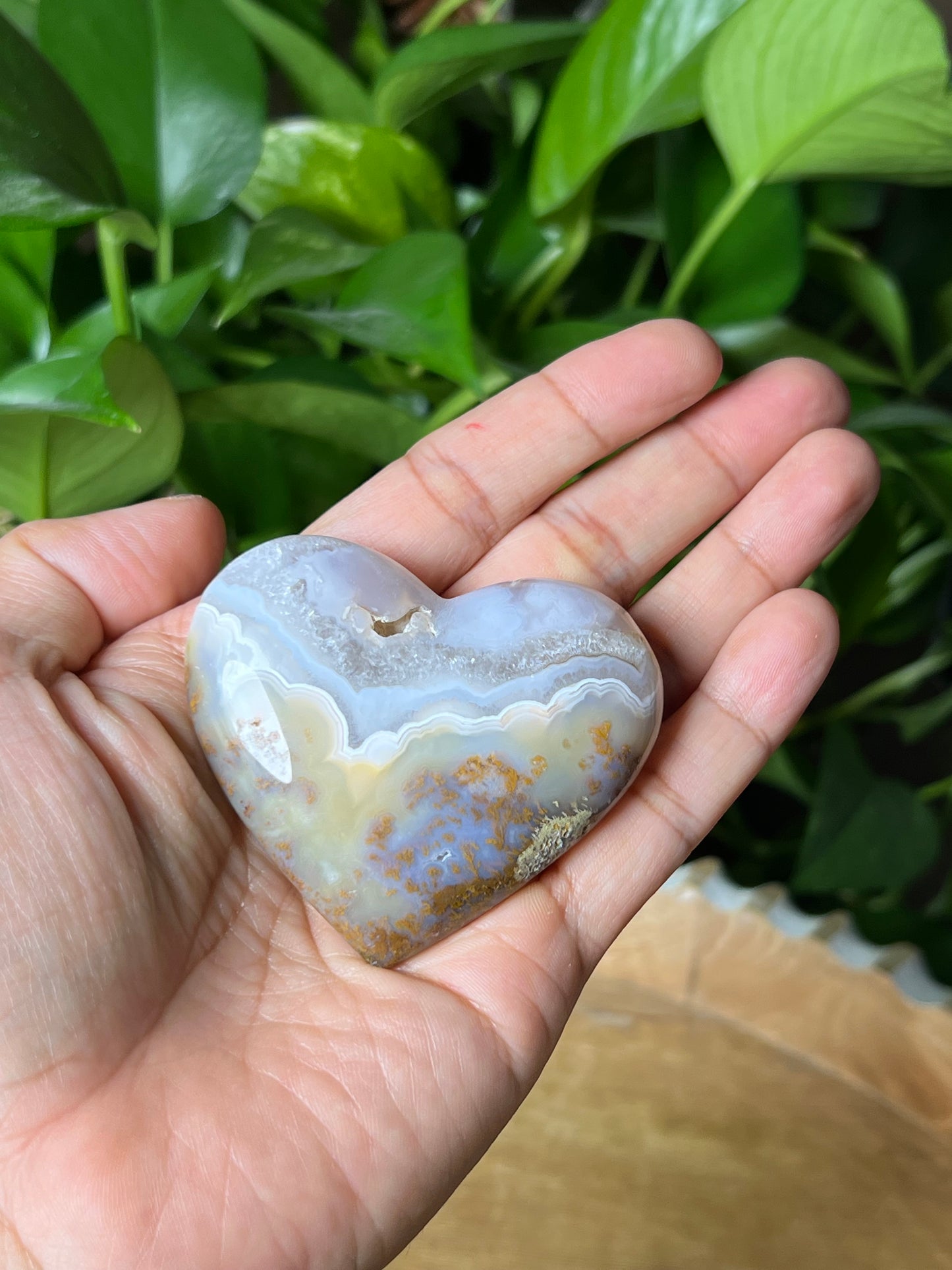 Scenic Moss Agate Heart